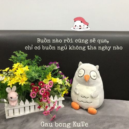 Gấu bông - Cú Mèo ngủ gật