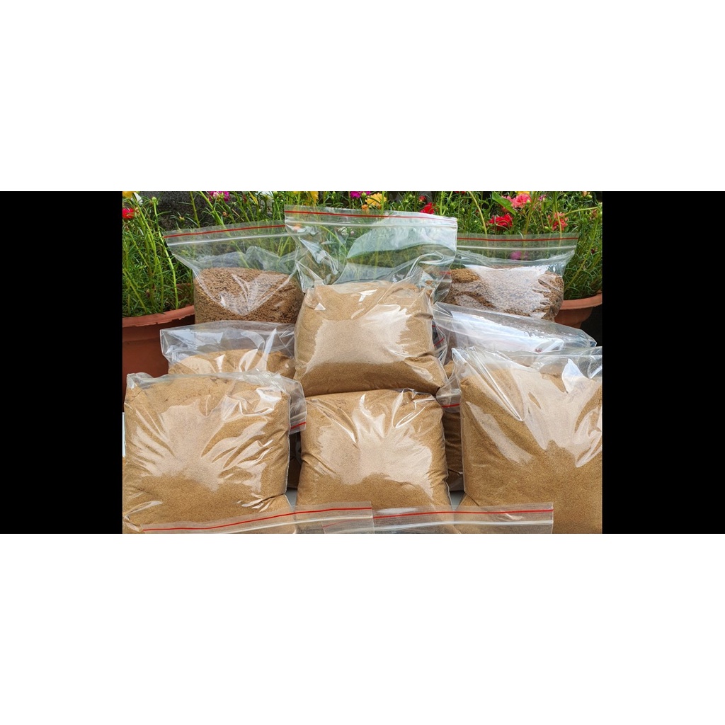 Cám thơm câu chép, rô, trắm