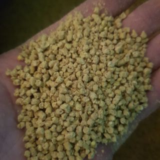 cám gà con,cám chim cút,cám chim… (5kg)