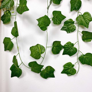 Dây Leo Giả - Bó 5 Sợi Dây Nho Lá To Làm Cây Nho Leo