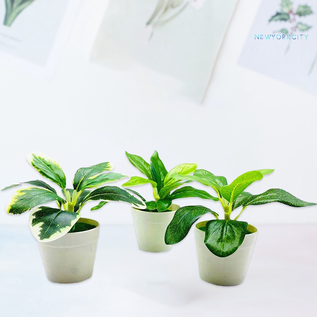 Chậu Cây Cảnh Nhân Tạo Bằng Nhựa Sống Động Như Thật Dùng Trang Trí Nhà Cửa