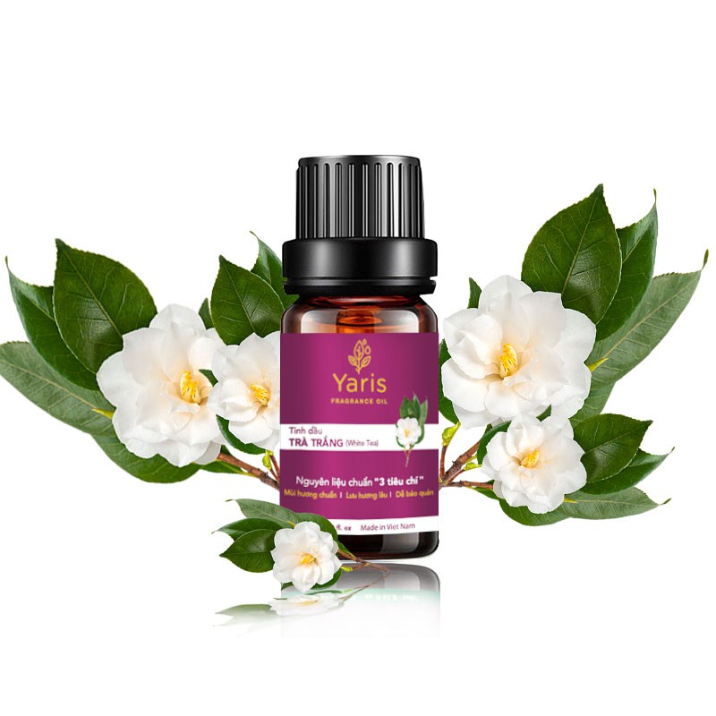 Tinh Dầu Trà Trắng Yaris (White Tea Fragrance Oil)