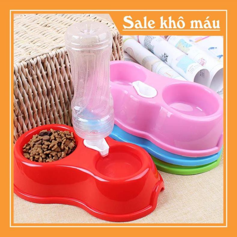 Bộ Bát Đôi Cấp Nước Tự Động Gắn Chai Nước Ngọt Có Thể Thay Thế - Bobo Pet Shop Hà Nội