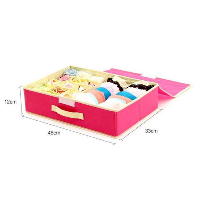 Hộp đựng đồ lót 16 ngăn có nắp đậy tiện dụng - giao màu ngẫu nhiên