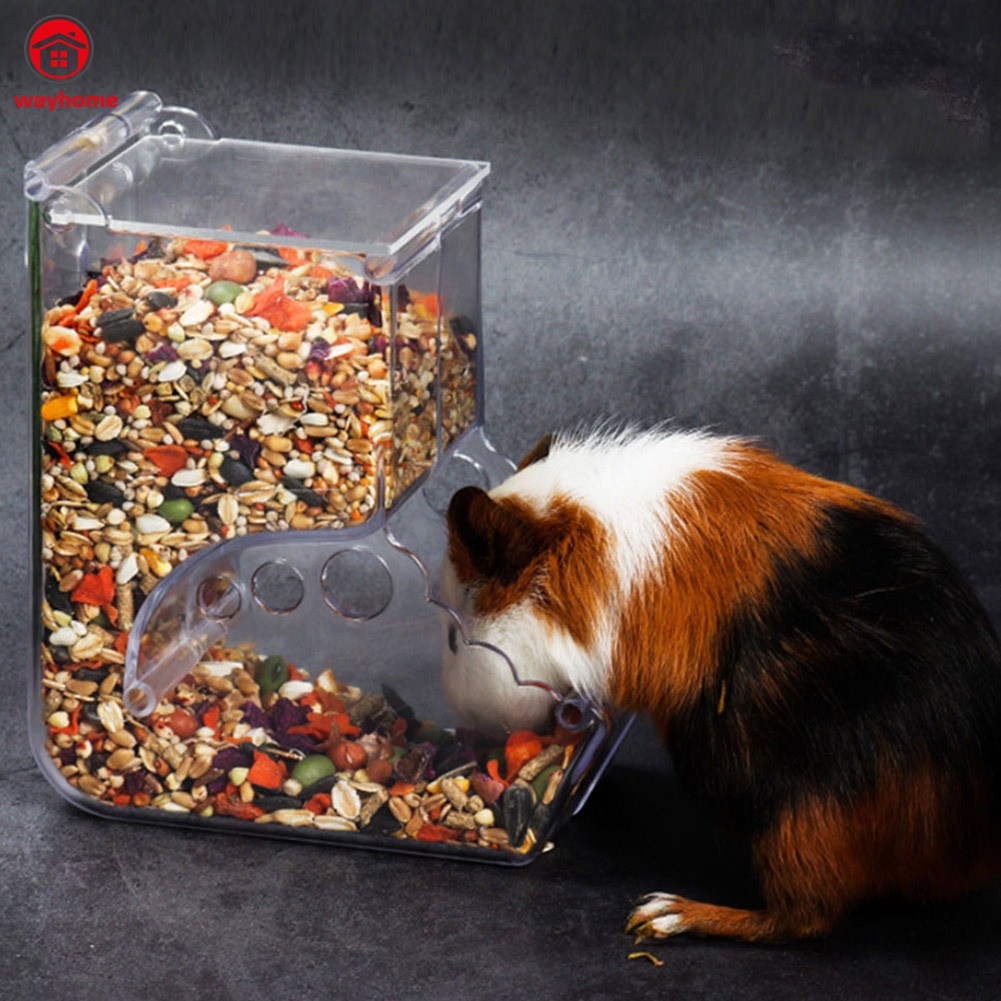 Khay đựng thức ăn cho chuột hamster