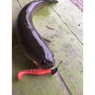 Lưỡi Jighead (Lưỡi Thiên Nga )