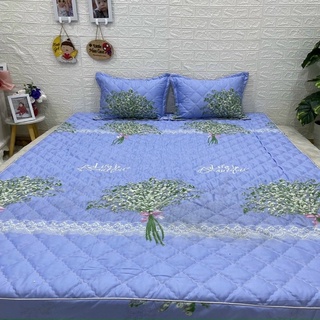 Set Ga chun Trần bông kèm 2 vỏ gối nằm cotton poly