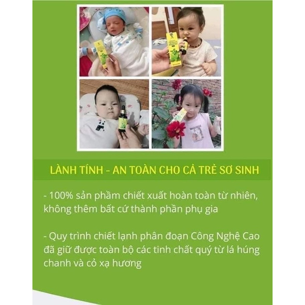 Dầu húng chanh Minion | BigBuy360 - bigbuy360.vn