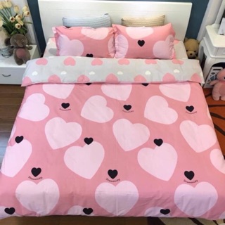 Bộ chăn ga gối cotton 100%