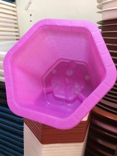 Chậu lục giác
