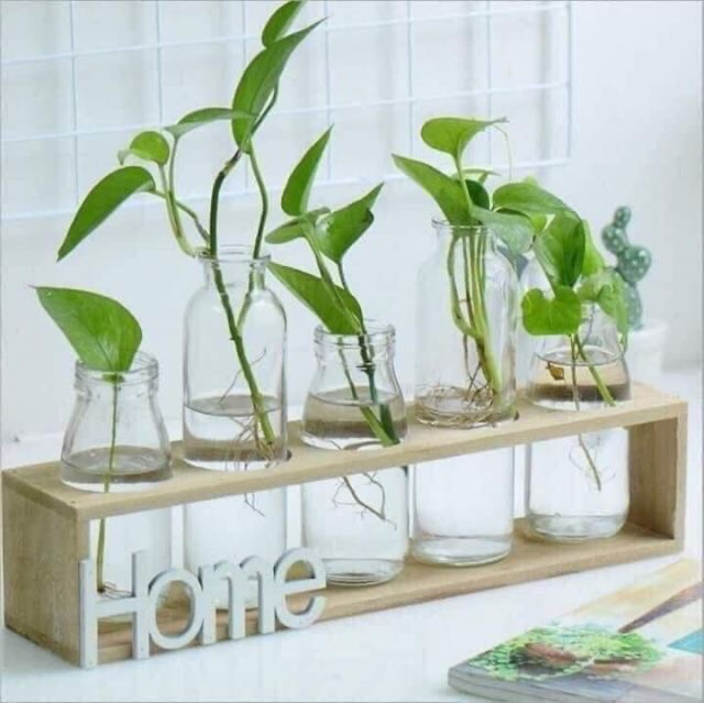 Sét 5 lọ hồ thủy tinh kèm kệ gỗ- màu xanh