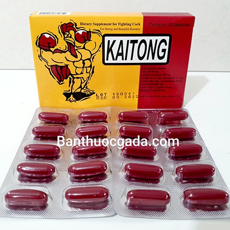 3 Hộp 60 Viên KAITONG - KÍCH LỰC, SUNG MÃN, TĂNG BO, DẺO DAI - Bán th.uốc gà đá Nam Nguyễn