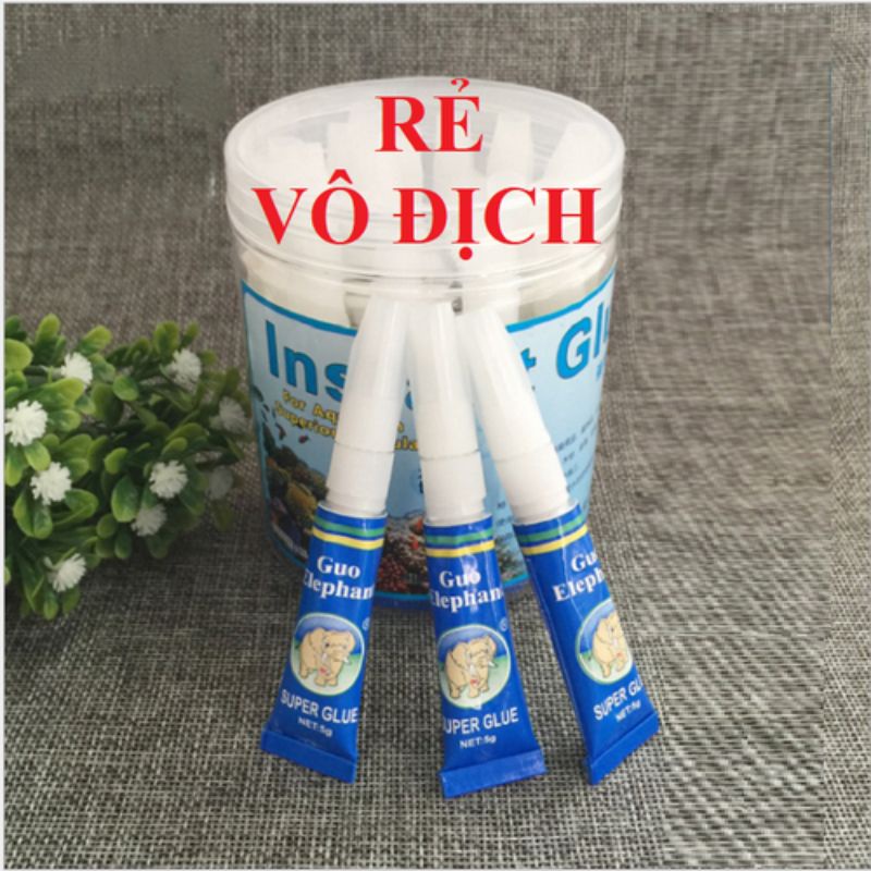 Keo thủy sinh - Keo dán rêu ráy