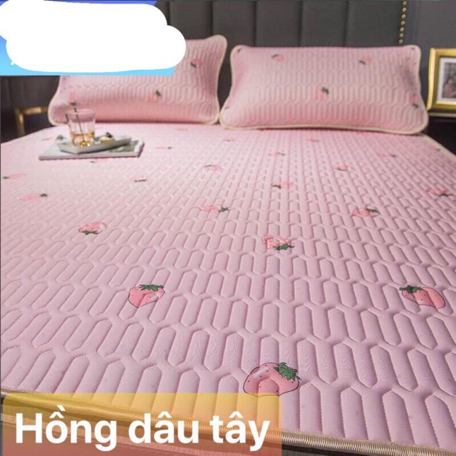 [ SALE SỐC RẺ VÔ ĐỊCH] CHIẾU ĐIỀU HOÀ TENCEL MỦ CAO SU NON