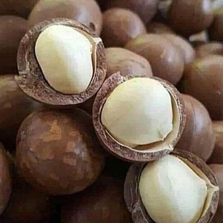 Hạt macca Úc vỏ nứt tự nhiên