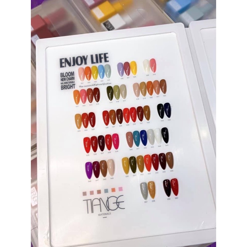 Sơn gel Tiange 120 màu