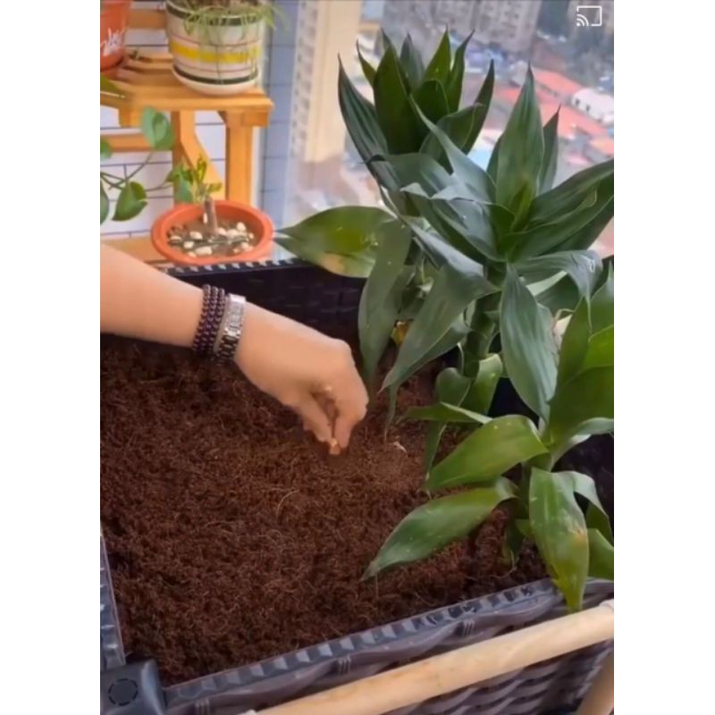 Đất Sạch nén Hữu Cơ nhiều dinh dưỡng..