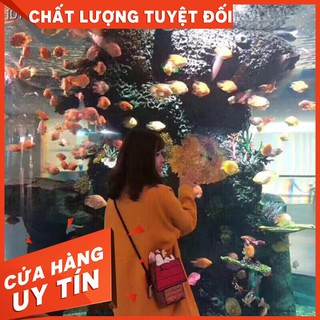 [THANH LÍ GIÁ NHẬP] Túi xách Zara hoạ tiết Snoopy