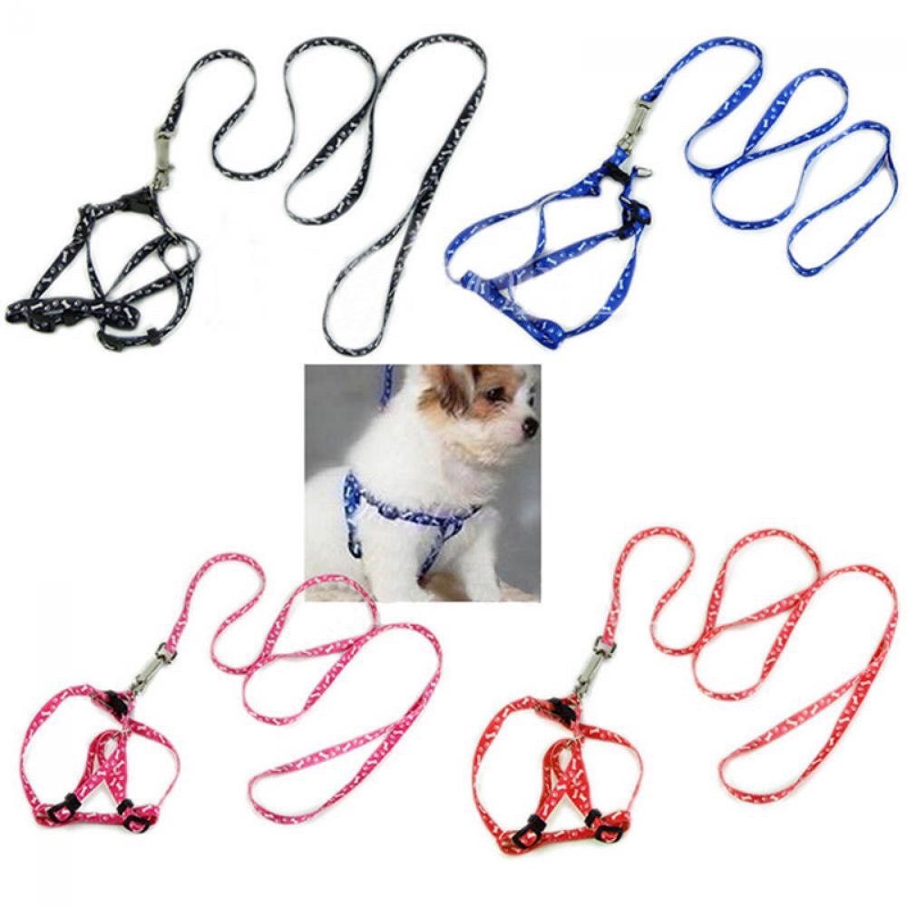 Dây Dẫn Cho Thú Cưng