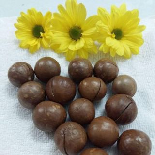 1kg macca sấy bấm nứt daklak 210.000đ