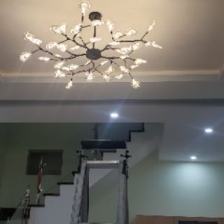 Đèn trần Decor trang trí phòng khách