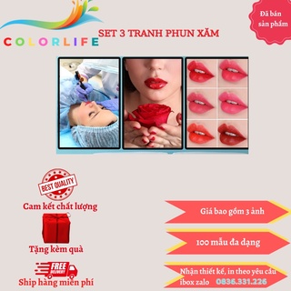 GIÁ XƯỞNG: BỘ 3 TRANH FOMEX 5MM PHUN XĂM, SPA KT 45*60*3-FLSPA7- MOKOSA FL111 ÁNH DƯƠNG