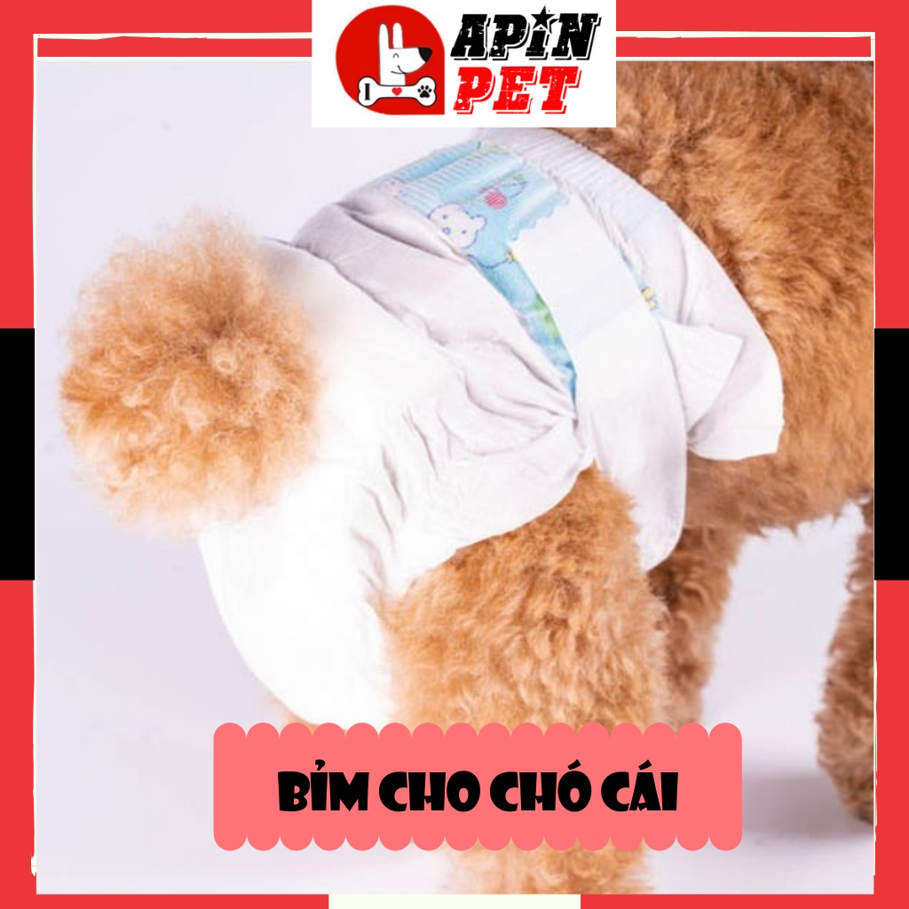 Tả Quần Cho Thú Cưng Chó Đực Cái Miếng lẻ Mềm Mại Thoáng Mát Đủ Size-Apinpet Shop