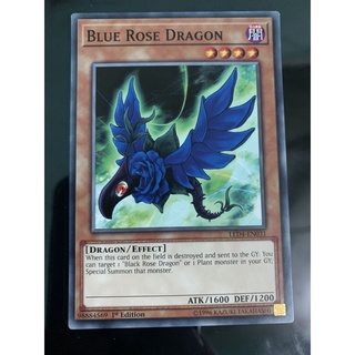 Bài yugioh: blue rose dragon