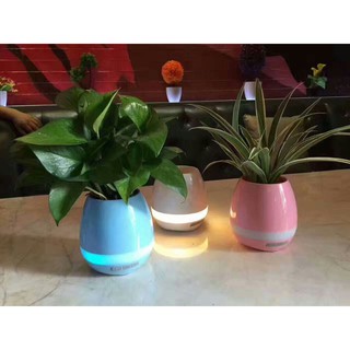 Loa bluetooth có đèn kiêm chậu trồng cây cảm ứng amitech k3 - hàng loại 1