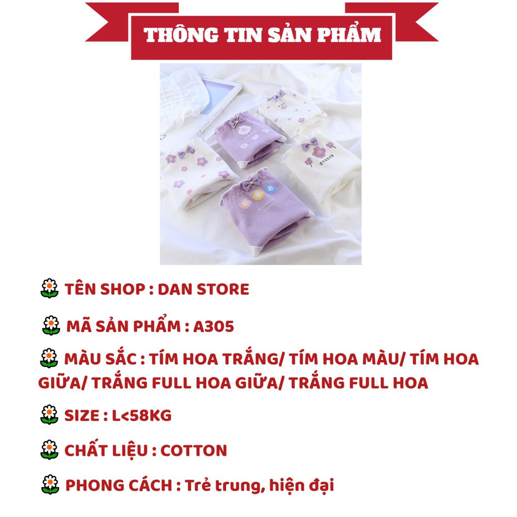 Quần Lót Nữ - Quần Lót Nữ Cotton len tăm viền nhún tôn dáng đính nơ nhỏ dễ thương trẻ trung DAN STORE MÃ A305