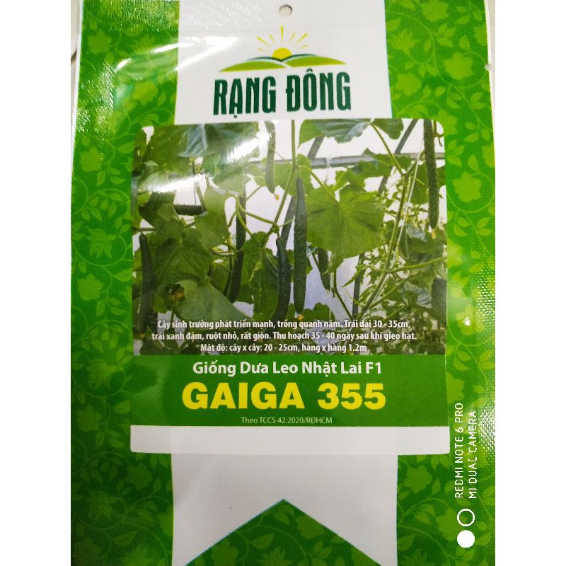 Hạt giống Dưa leo Nhật Gaiga 0.5gr❤️FREESHIP XTRA❤️
