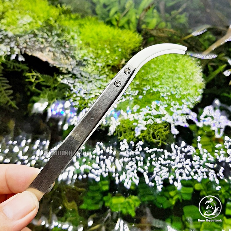 Nhíp INOX Đầu Sứ Giúp Kẹp Chính Xác - Chịu Nhiệt Cao - Chống Mòn - Chống Gỉ Sét