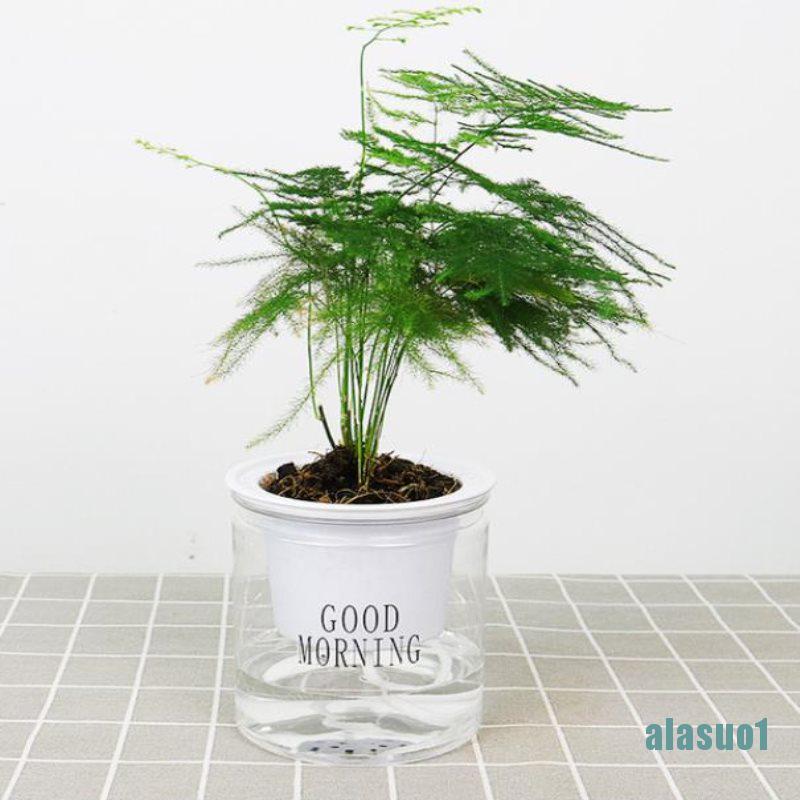 1 Bông Hoa Thấm Nước Tự Động