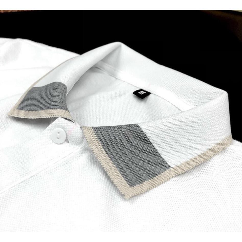 Áo Polo Nam Ngắn Tay có Cổ Bẻ Phối Áo thun nam in GẤU Cotton xuất xịn,chuẩn form sang trọng lịch lãm MINHSTORE | BigBuy360 - bigbuy360.vn