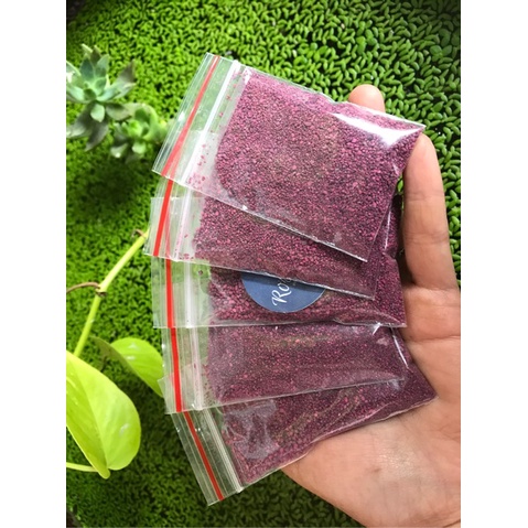 Thuốc Tim Trị Rệp Cho Cây Ăn Thịt Túi 10g-50g