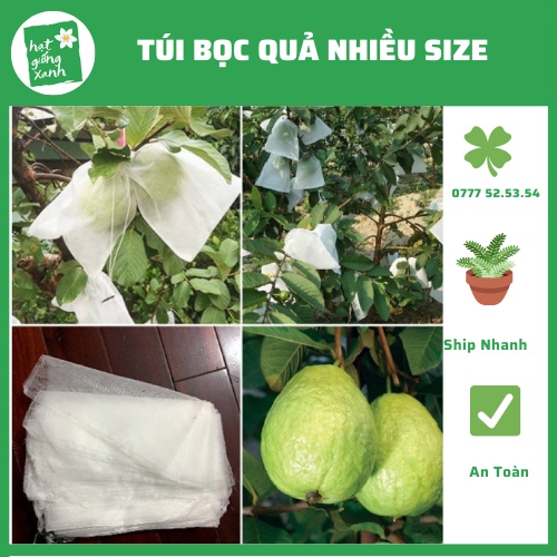 10 Túi bọc quả vải không dệt chống côn trùng, túi bọc ổi, xoài, bơ, mít, khổ qua, mướp, dưa leo….