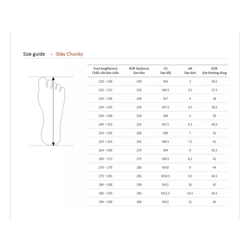 Giày Chunky Vnxk xịn