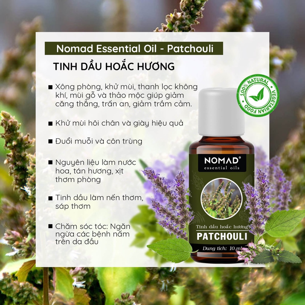 Tinh Dầu Dòng Gỗ, Thảo Mộc Nomad Essential Oil thanh lọc không khí, xông thơm phòng