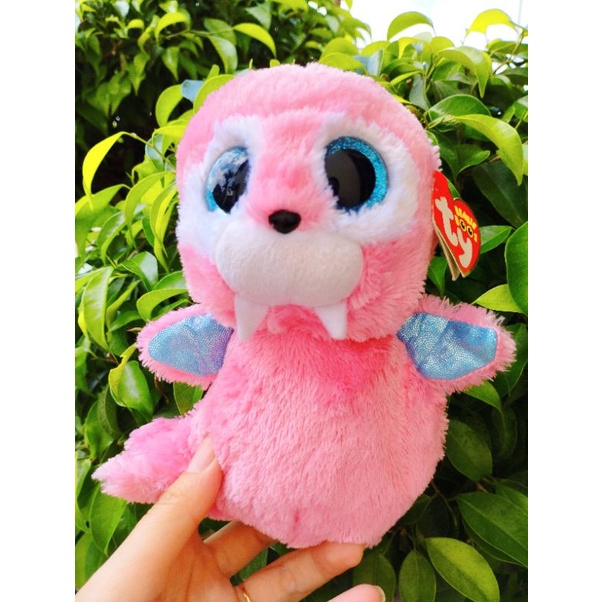 Gấu ông mắt thủy tinh size trung
