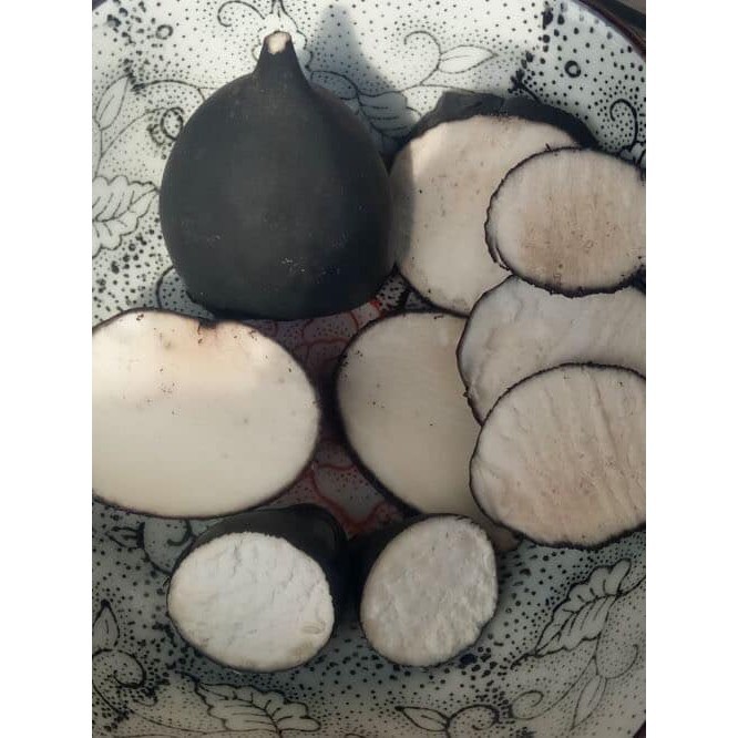 1kg Sâm ô linh tươi