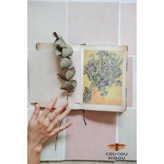 SET 16 TẤM PATTERN-mẫu hồng đất