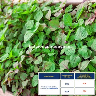 5GR - HẠT GIỐNG RAU DỀN CƠM