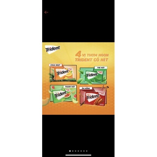 Kẹo Singum Trident các loại 9g