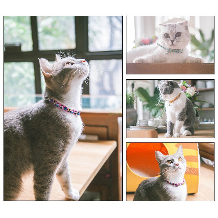 Vòng cổ cao su Touchcat cho chó mèo nhỏ 1,0cm