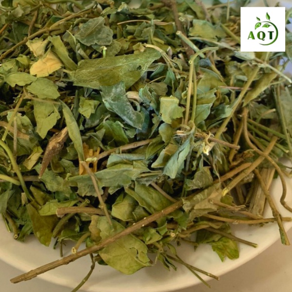 1Kg Dây Thìa Canh Khô (Sạch, Thơm) Giảm Tiểu Đường, Trà Thìa Canh Hạ Huyết Áp, Ngừa Mỡ Máu, Hàng Chuẩn Xịn