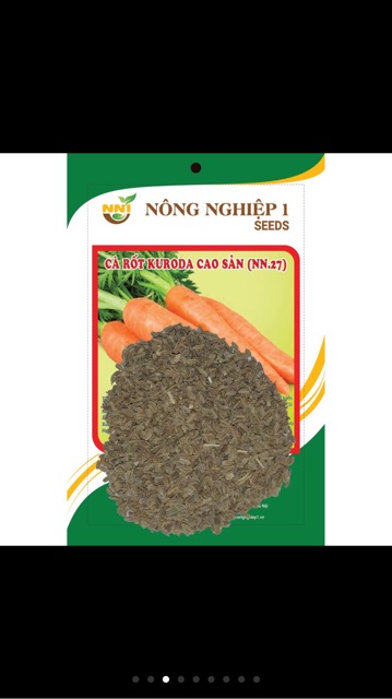 Hạt giống cà rốt  KUDORA 10 gr