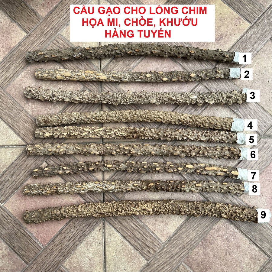 Cầu gạo cho lồng chim họa mi, chòe, chào mào, khướu - Loại tuyển chọn (Được chọn mẫu)