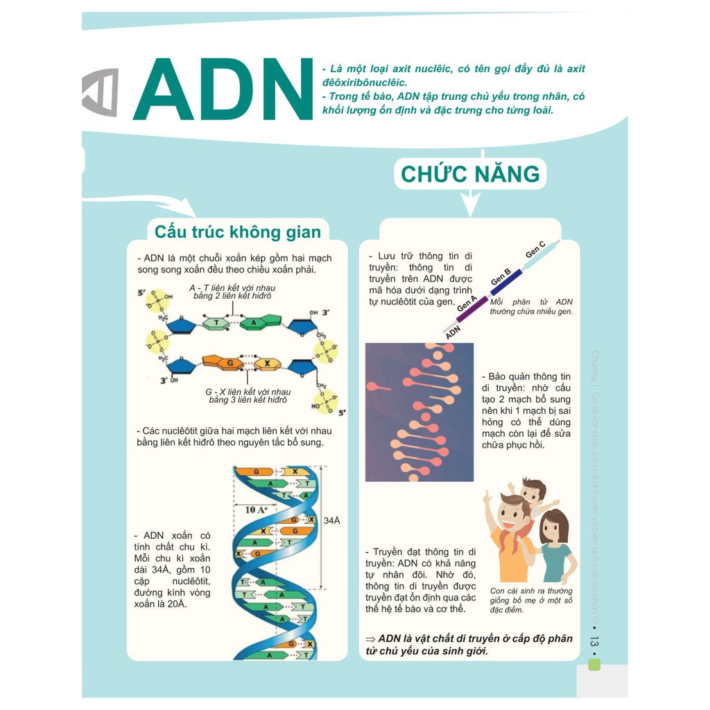 Sách - Combo Đột phá 8+ - Chinh phục điểm cao thi THPT Quốc gia môn Sinh học