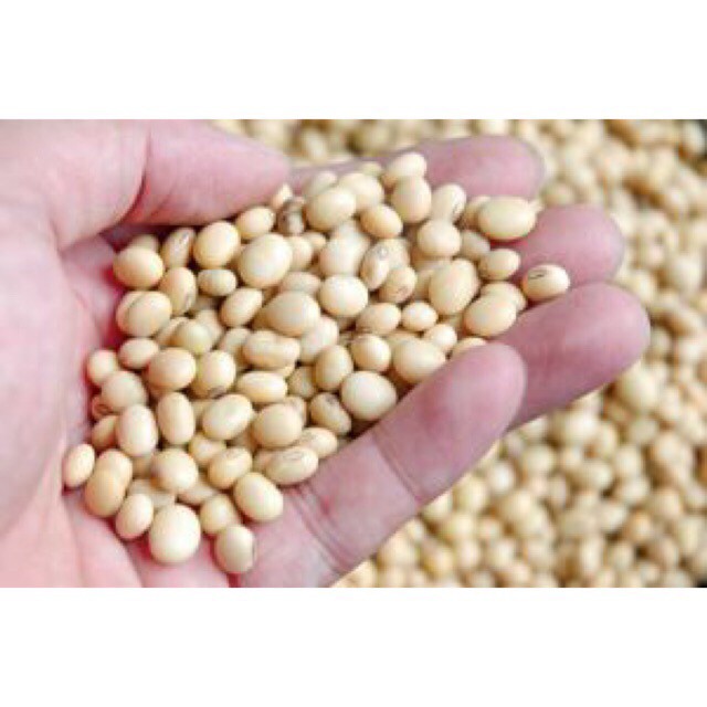 1 Kg Bột Đậu Nành Nguyên Chất