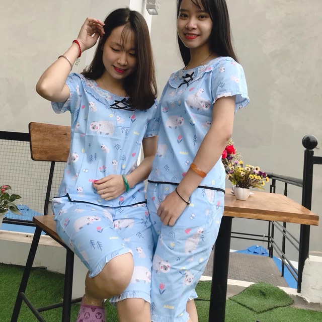 Bộ lửng thô lụa